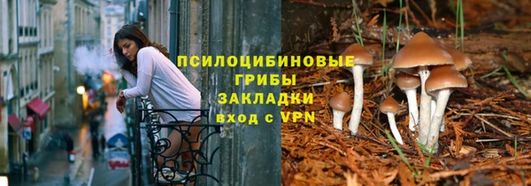не бодяженный Карпинск