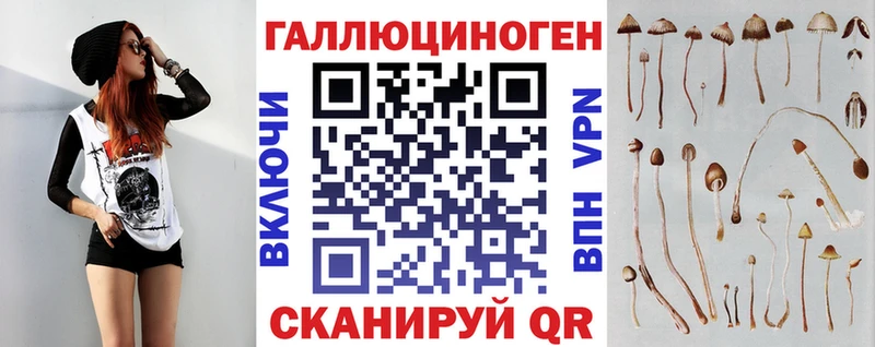 Купить  Зеленодольск  Галлюциногенные грибы прущие грибы 